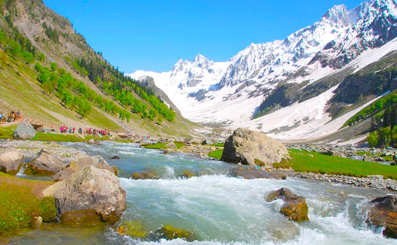 Bangus Valley