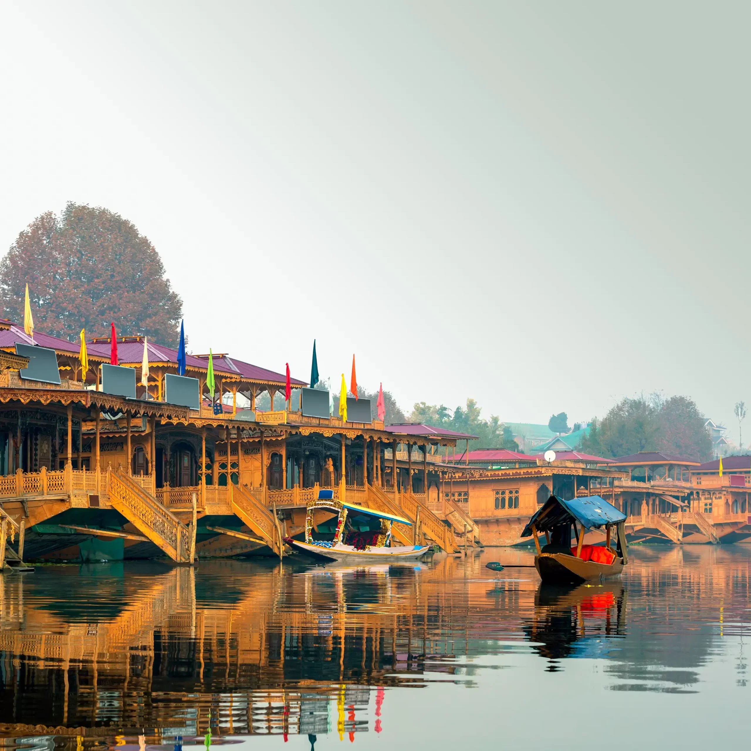 Day 1 : Arrival in Srinagar